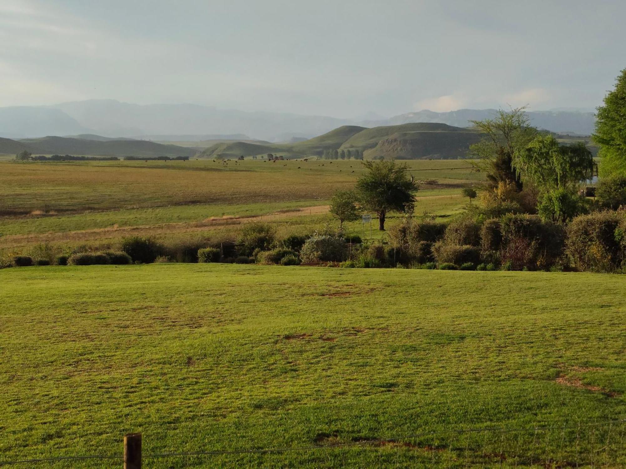 Sani Pass View Cottage Himeville Exteriör bild